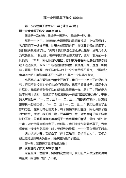 那一次我懂得了作文600字（精选42篇）