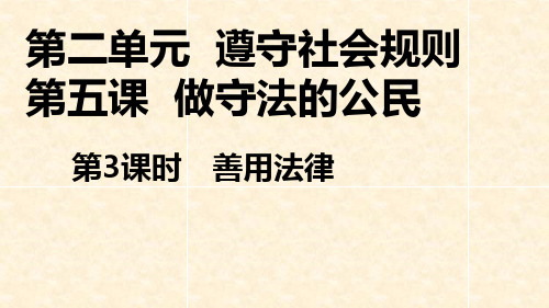 道德与法治八年级上册 5.3 善用法律 课件(23张)