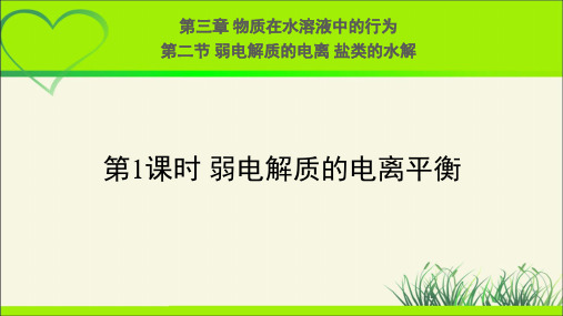 《弱电解质的电离 盐类的水解 第1课时》示范课教学PPT课件【化学鲁科版(新课标)】