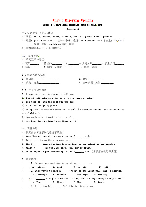 广东省河源市南开实验学校八年级英语下册 Unit 6 Topic 1 I have some exc