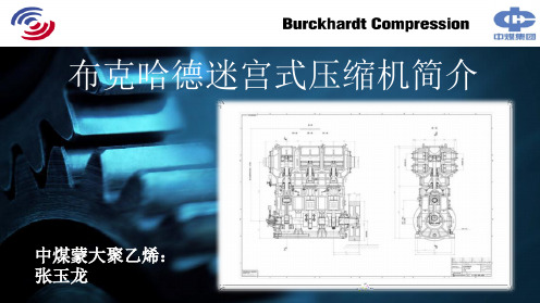 布克哈德迷宫压缩机PPT精选文档