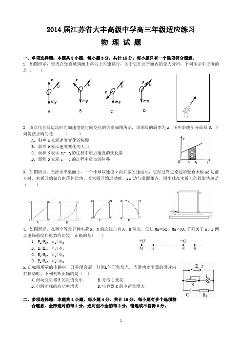 江苏省大丰高级中学高三年级适应练习 物理试题