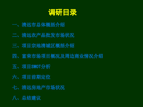 清远市富荣农副产品批发市场——可行性研究报告52p