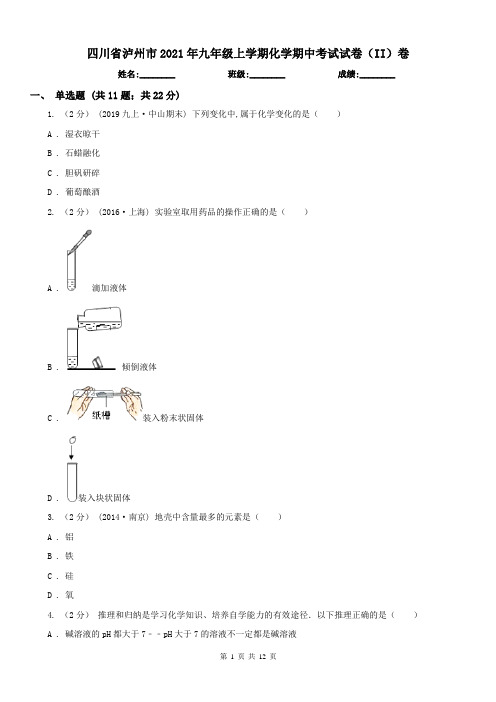 四川省泸州市2021年九年级上学期化学期中考试试卷(II)卷