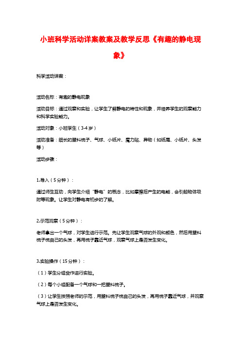 小班科学活动详案教案及教学反思《有趣的静电现象》