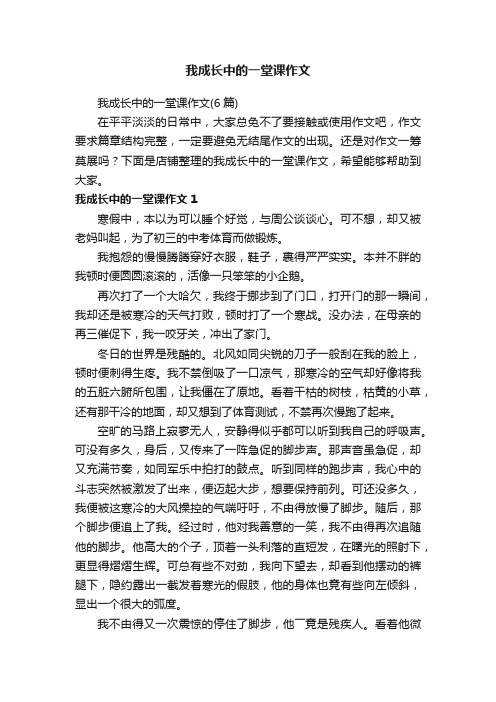 我成长中的一堂课作文