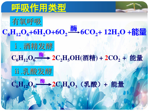 影响呼吸作用有关的因素优秀课件