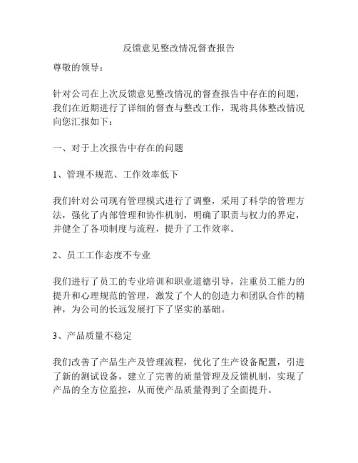 反馈意见整改情况督查报告