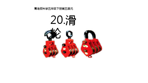 青岛版科学五年级下册20