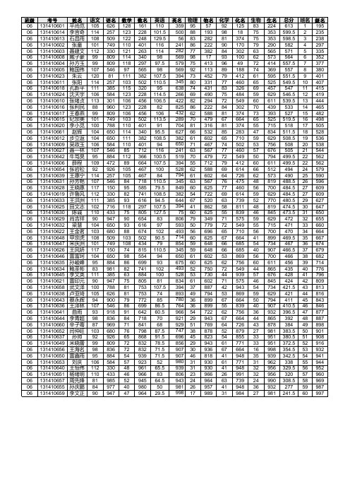 肥城一中学生成绩理科 (1)