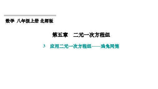 第5章 二元一次方程组 北师大版八年级上册习题课件 应用二元一次方程组——鸡兔同笼