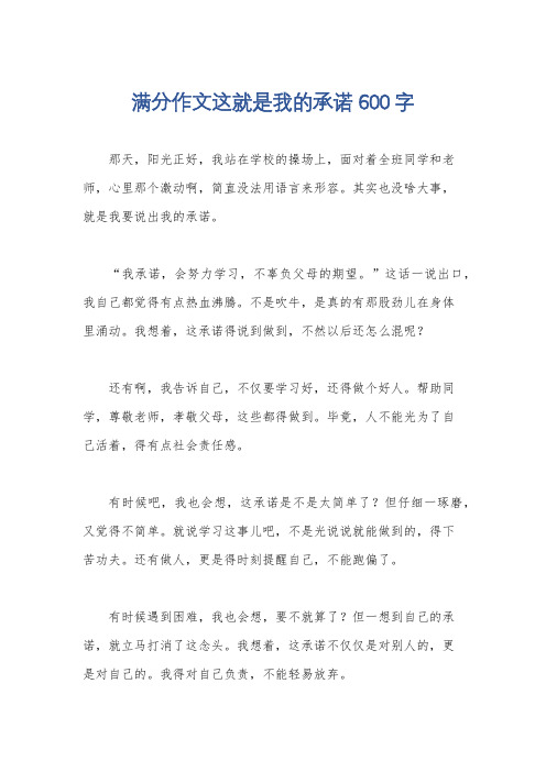 满分作文这就是我的承诺600字