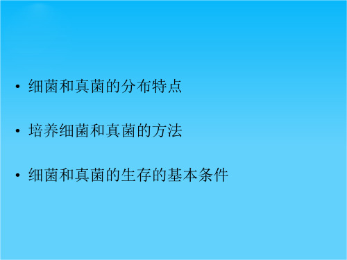 湖南省长沙市长郡芙蓉中学八年级生物上册《5.4.2 细菌》课件 (新版)新人教版