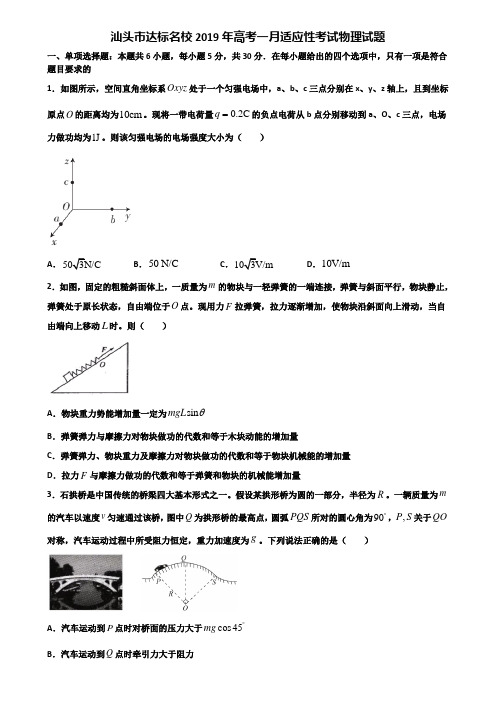 汕头市达标名校2019年高考一月适应性考试物理试题含解析