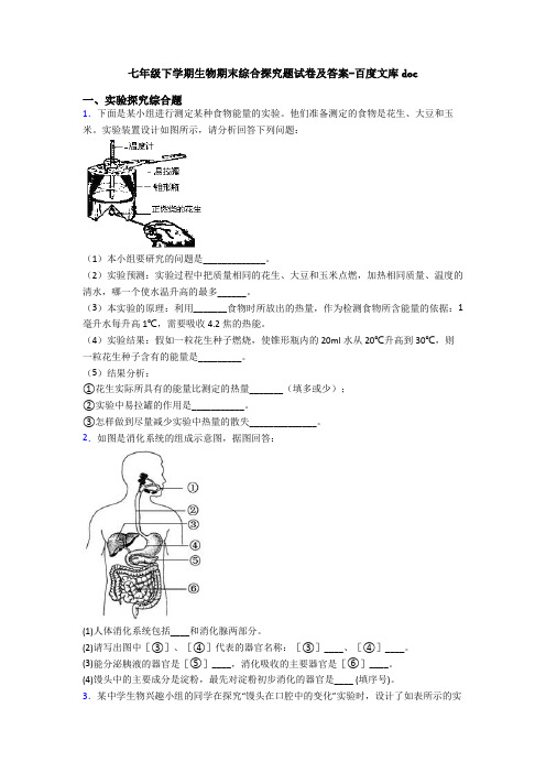 七年级下学期生物期末综合探究题试卷及答案-百度文库doc