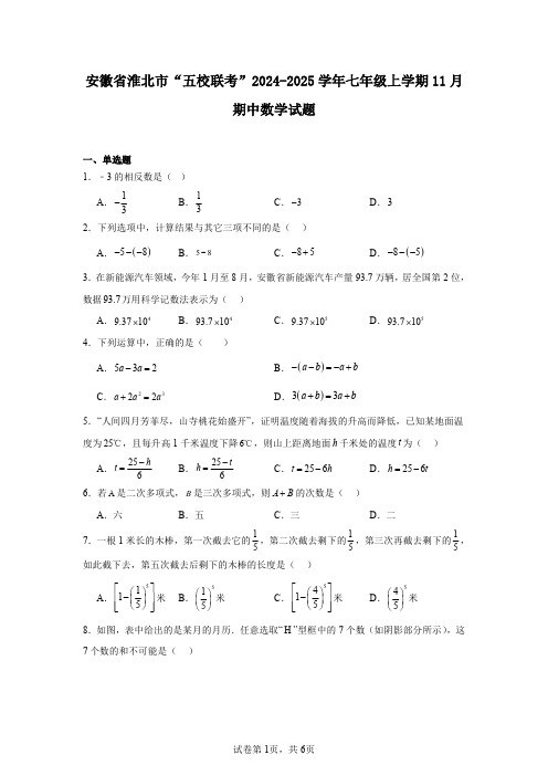 安徽省淮北市“五校联考”2024-2025学年七年级上学期11月期中数学试题