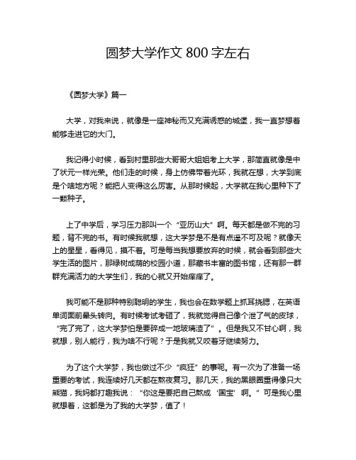 圆梦大学作文800字左右