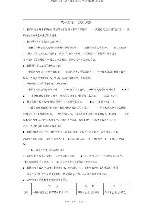 九年级政治第一单元感受时代脉动复习提纲北师大版.