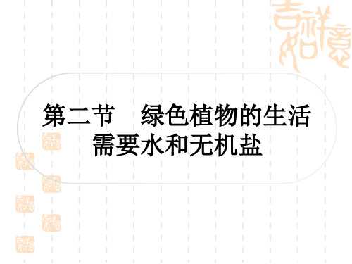 人教版中考生物精讲本 主题三 生物圈中的绿色植物 第二节 绿色植物的生活需要水和无机盐