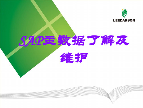 SAP主数据MRP视图了解及维护答辩