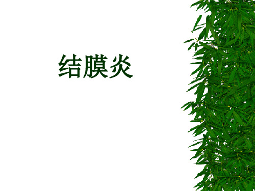 眼结膜炎医学PPT课件