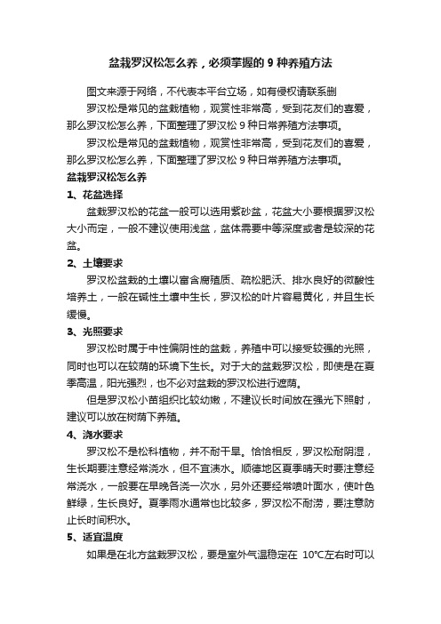 盆栽罗汉松怎么养，必须掌握的9种养殖方法