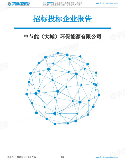 中节能(大城)环保能源有限公司-招投标数据分析报告