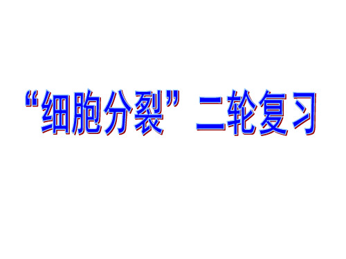 “细胞分裂”二轮复习(课件)