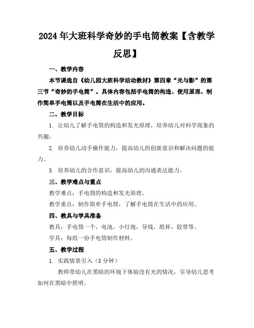 2024年大班科学奇妙的手电筒教案【含教学反思】