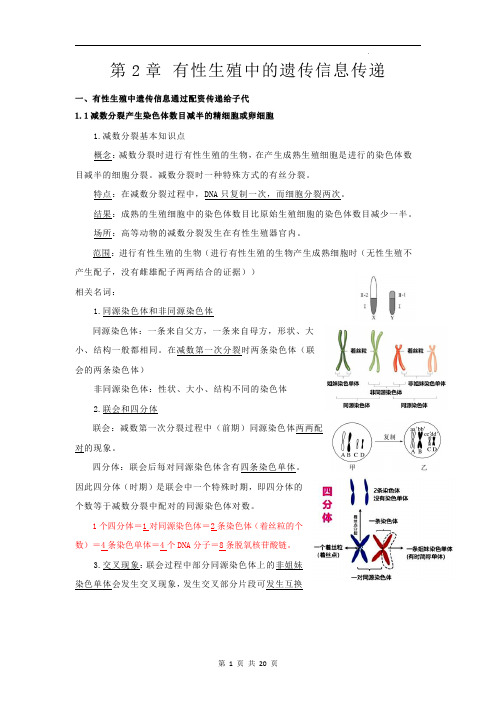 上海市高中生物必修2：第二章有性生殖中的遗传信息传递知识点