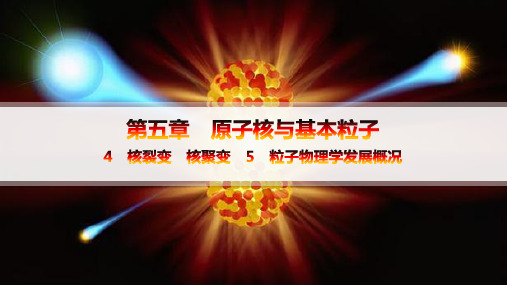 教科版高中物理选择性必修第三册 第5章 原子核与基本粒子 4 核裂变 核聚变 5 粒子物理学发展概况