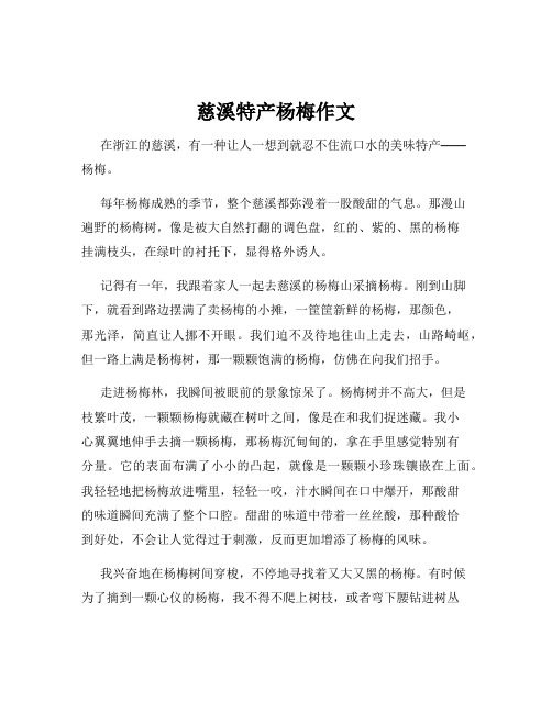 慈溪特产杨梅作文