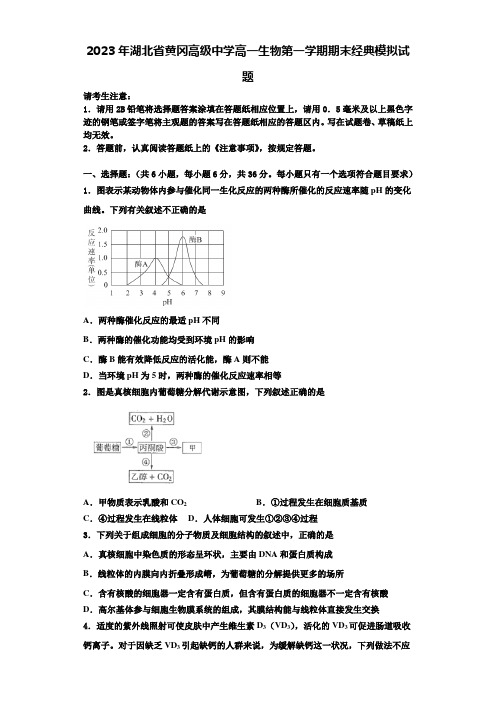 2023年湖北省黄冈高级中学高一生物第一学期期末经典模拟试题含解析