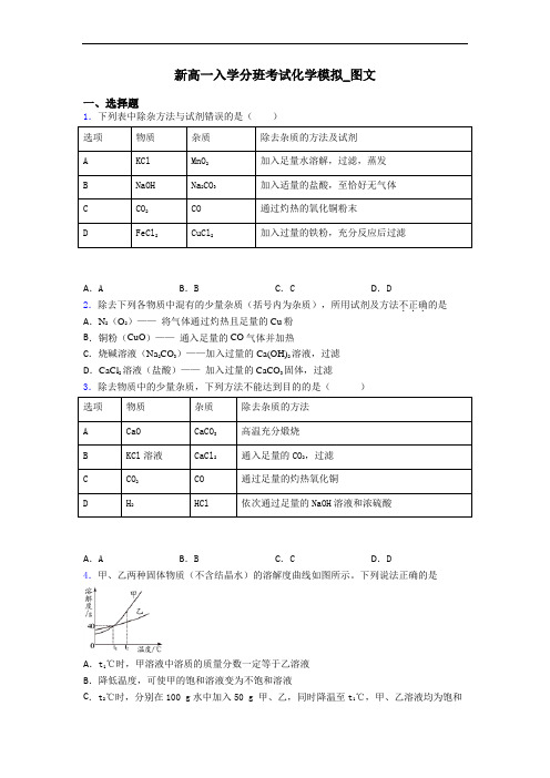 新高一入学分班考试化学模拟_图文