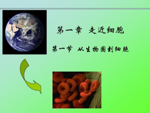 高中生物必修一第一章第一节《从生物圈到细胞》PPT