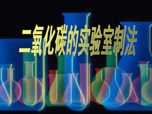 沪教版化学九上4.3《二氧化碳的实验室制法》ppt课件(共19张PPT)