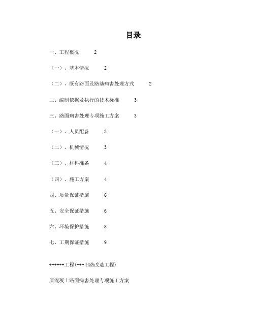 路面病害处理专项施工方案