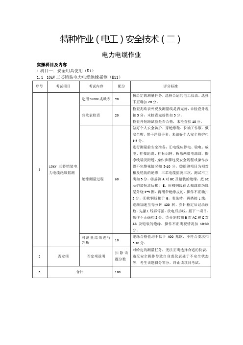 特种作业(电工)实操标准(二)