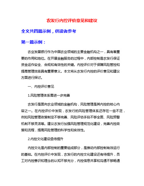 农发行内控评价意见和建议