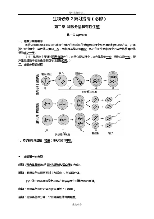 苏教版教学素材生物必修2复习提纲(必修)