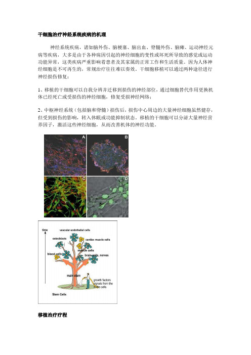 干细胞治疗神经系统疾病的机理