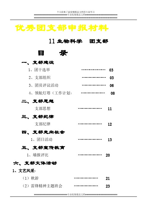 优秀团支部评比 (1)