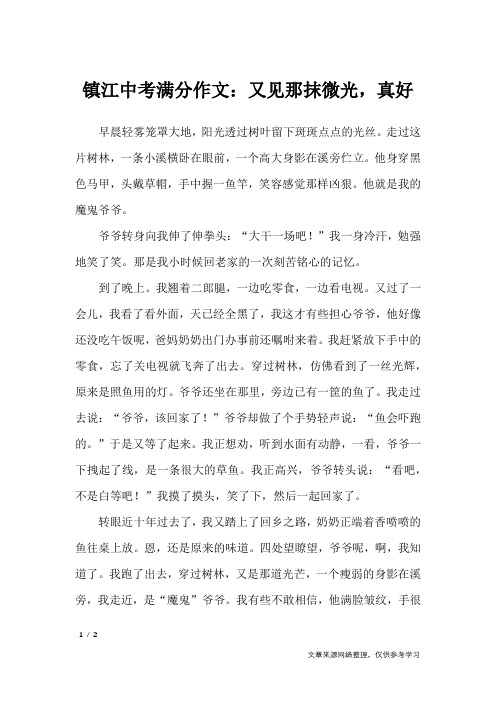 镇江中考满分作文：又见那抹微光,真好_初中作文