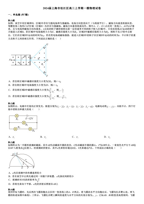 2024届上海市松江区高三上学期一模物理试卷