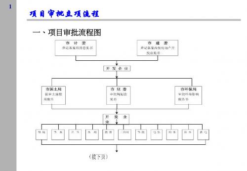 房地产项目审批立项流程-精品文档