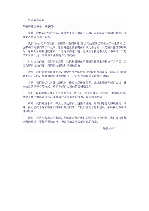 整改 表态发言