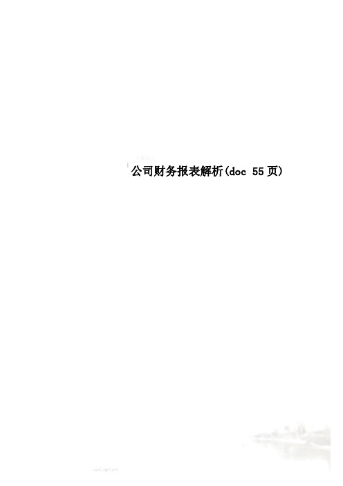 公司财务报表解析(doc 55页)