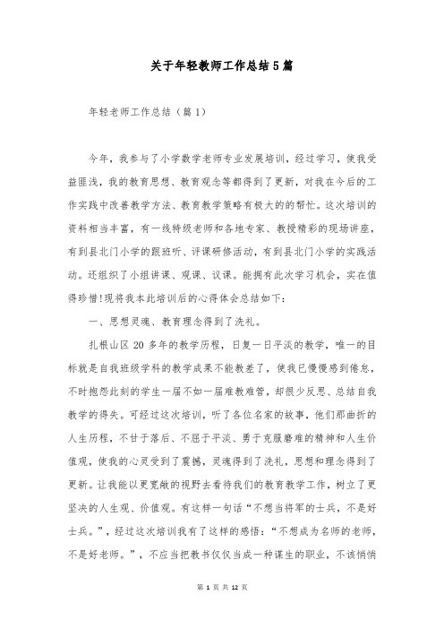 关于年轻教师工作总结5篇