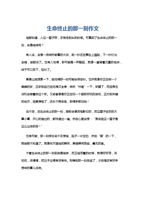 生命终止的那一刻作文