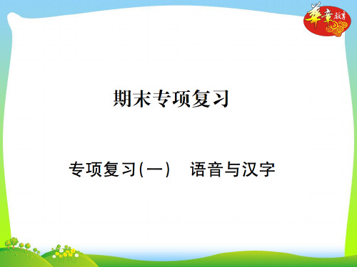 部编版七年级语文下册：专项复习一 语音与汉字.ppt